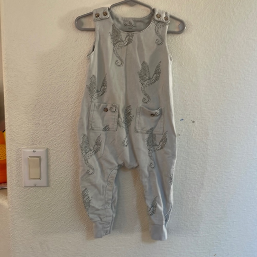 Oliver & Rain Organic Baby.  Romper.  18 moths